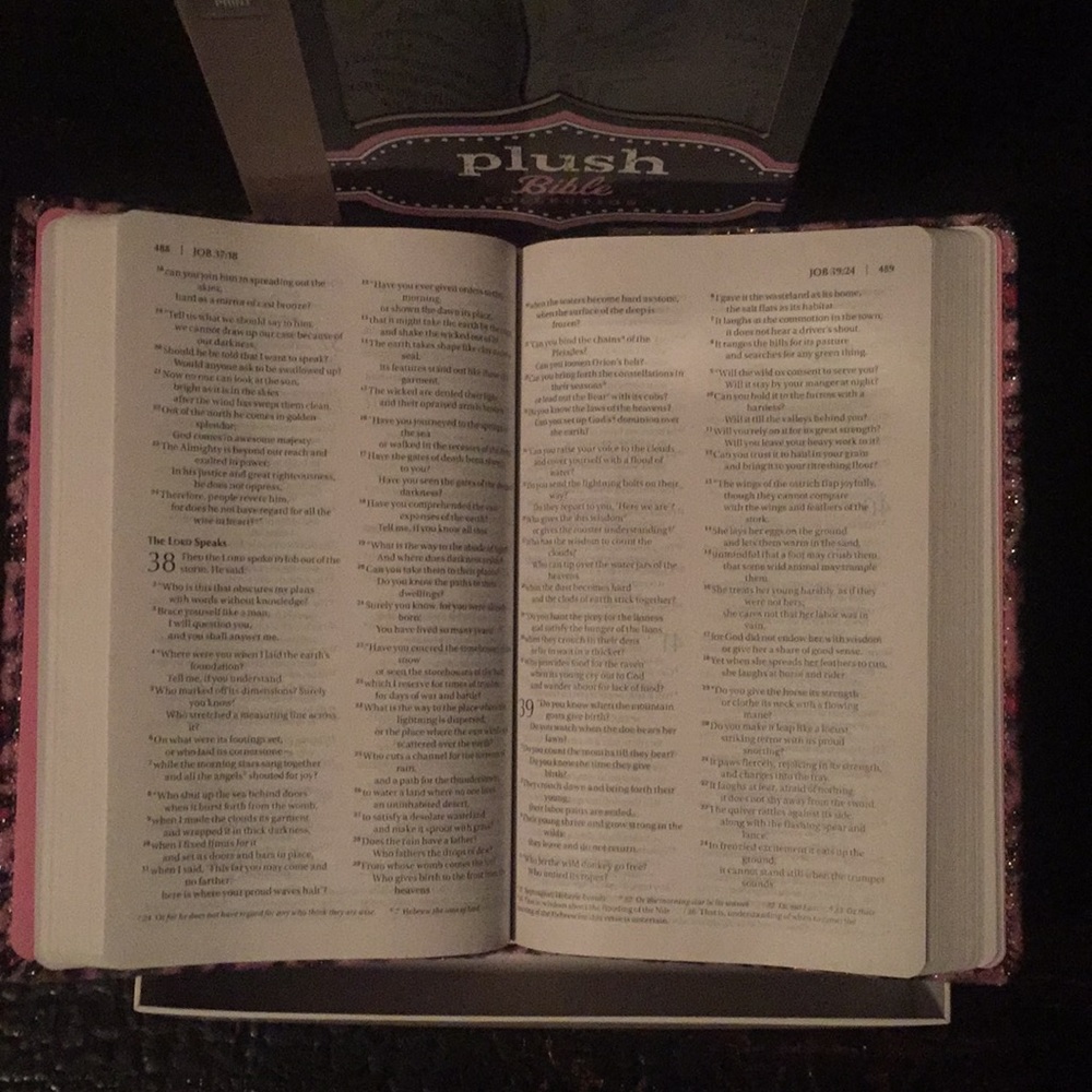 Book - Picture 3 of 7